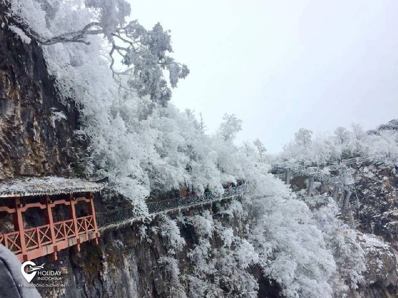 tour phượng ho&agrave;ng cổ trấn đường bộ