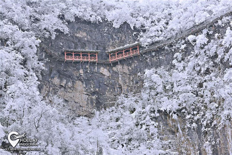 tour du lịch Phượng Ho&agrave;ng cổ trấn