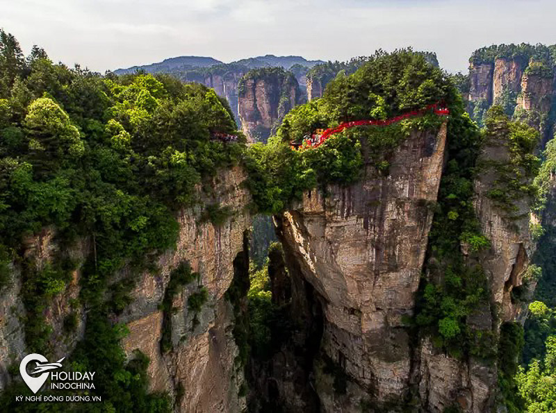 tour viên gia giới