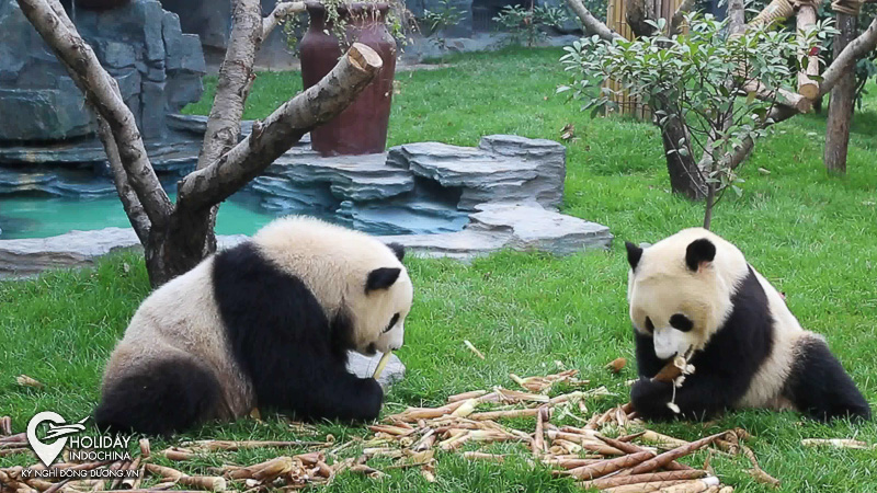 du lịch trung quốc