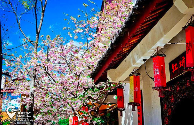 tour lệ giang shangrila