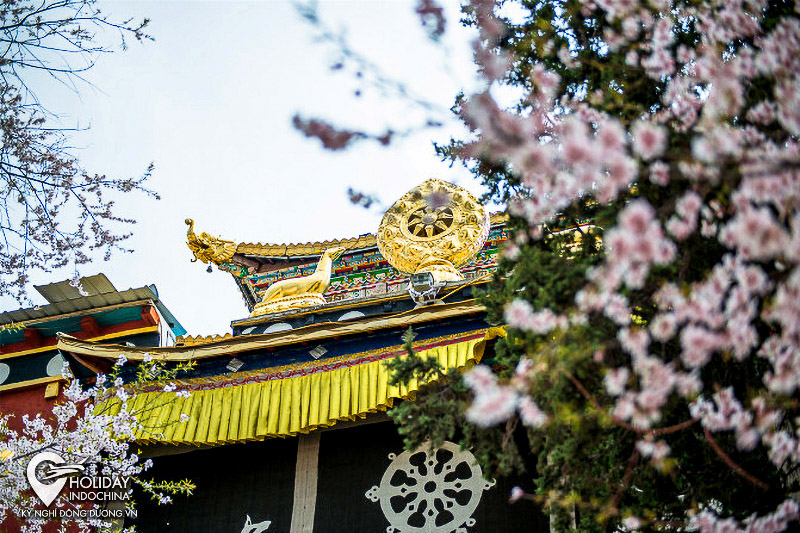 tour lệ giang gi&aacute; rẻ