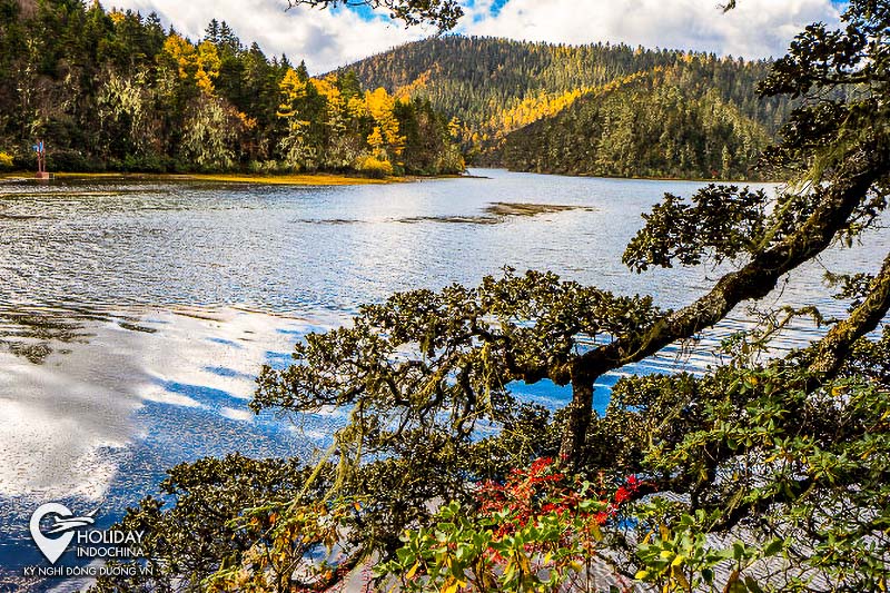 tour du lịch lệ giang