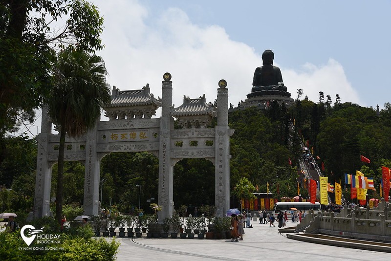 tour hồng k&ocirc;ng gi&aacute; rẻ