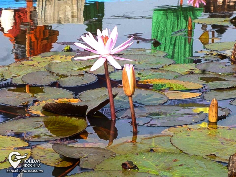 tour th&aacute;i lan từ h&agrave; nội