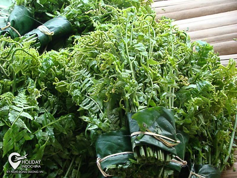 tour du lịch hồ ba bể