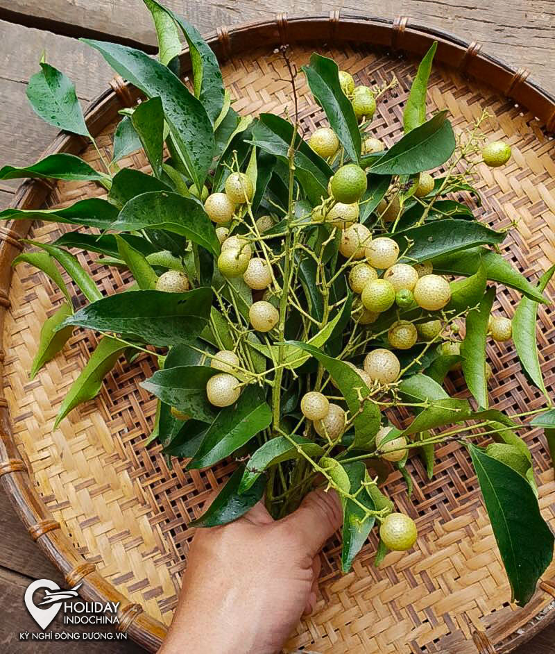 du lịch cao bằng