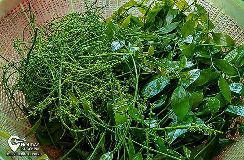 du lịch chùa hương