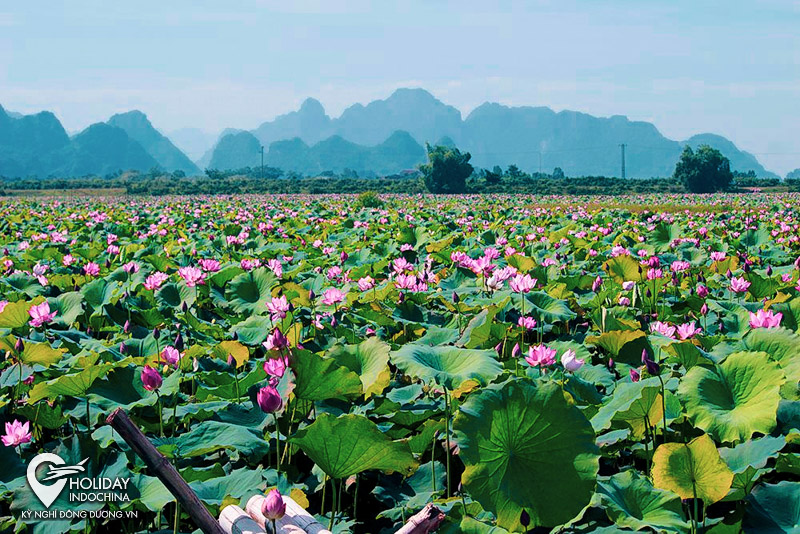 tour ch&ugrave;a hương từ h&agrave; nội