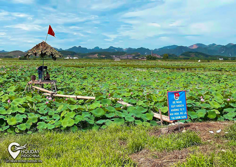 du lịch ch&ugrave;a hương