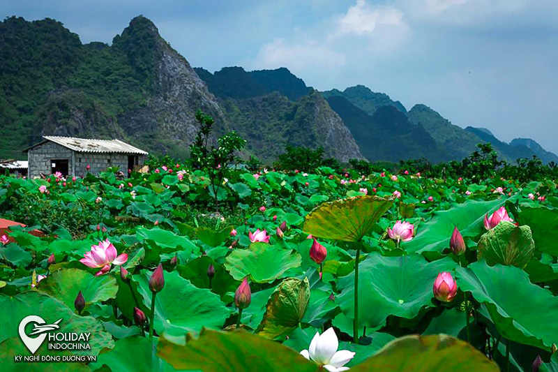 tour ch&ugrave;a hương 1 ng&agrave;y