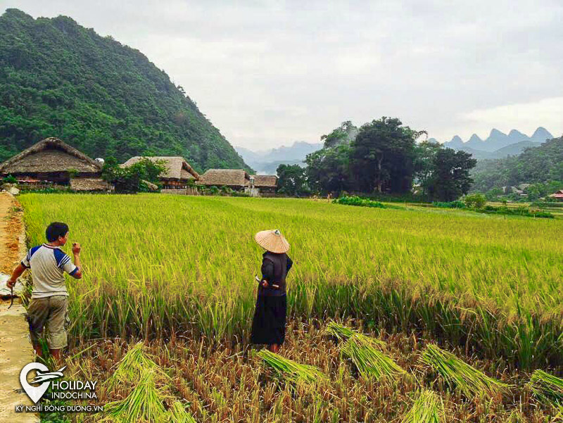 tour h&agrave; giang 3 ng&agrave;y 2 đ&ecirc;m