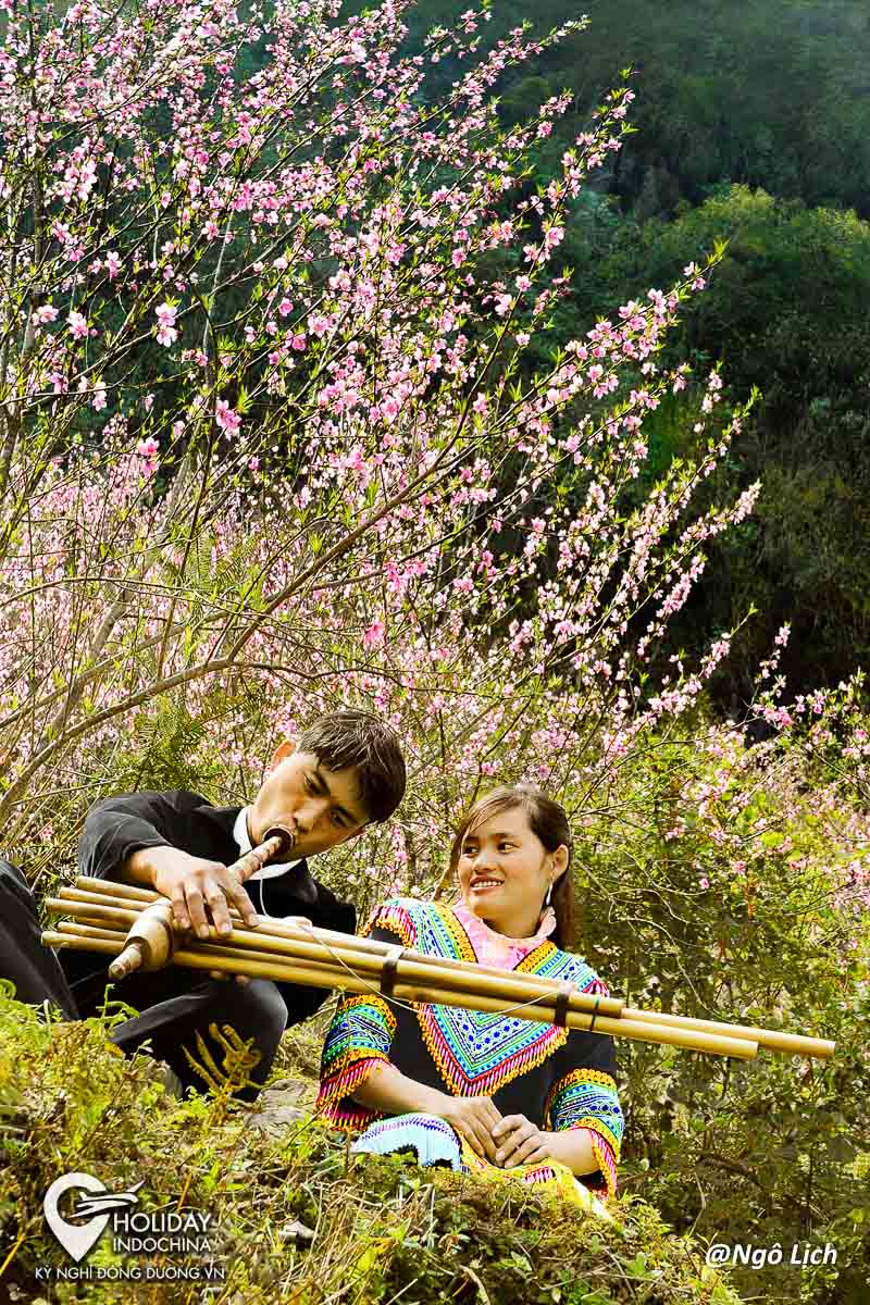 tour h&agrave; giang gi&aacute; rẻ