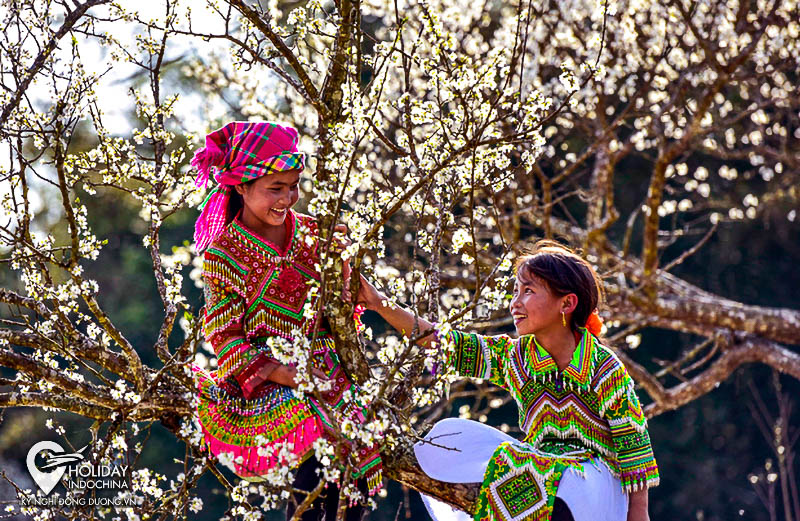 tour hà giang 3 ngày 2 đêm