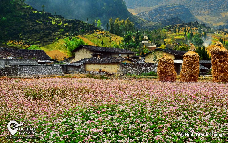 tour h&agrave; giang từ h&agrave; nội