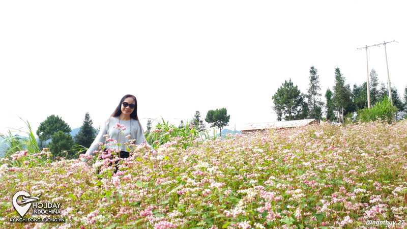tour h&agrave; giang từ h&agrave; nội