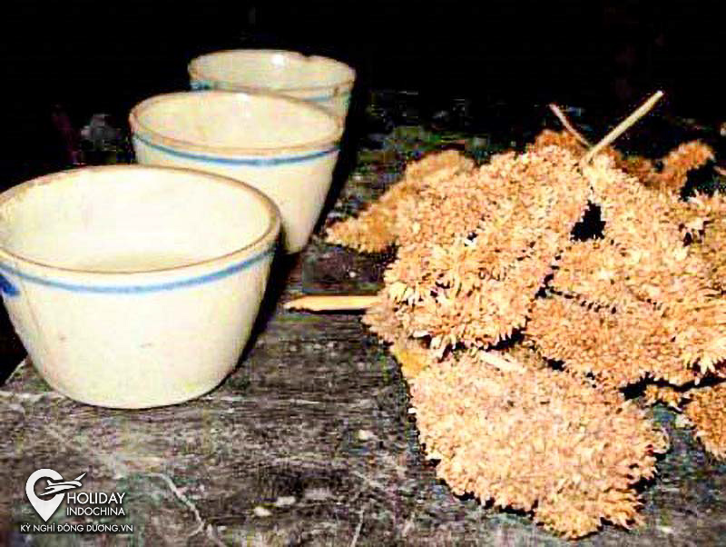 tam gi&aacute;c mạch