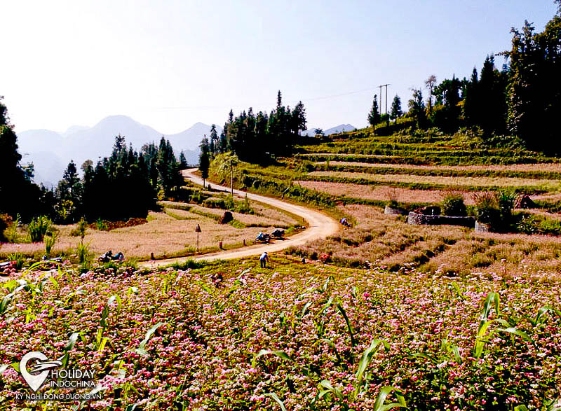 tour h&agrave; giang từ h&agrave; nội 