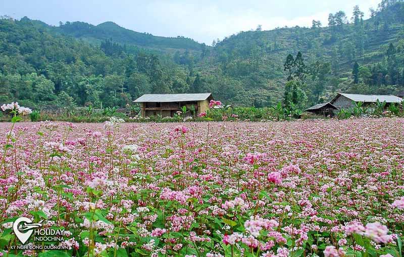 tour h&agrave; giang 2 ng&agrave;y 3 đ&ecirc;m