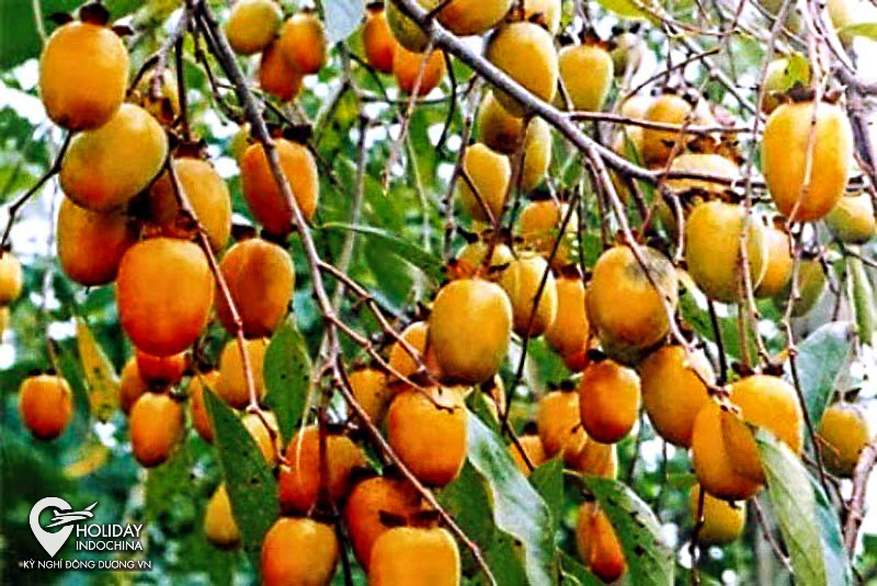 du lịch h&agrave; giang