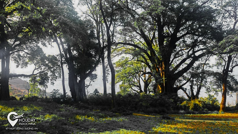 tour du lịch h&agrave; giang