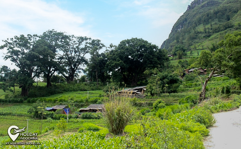 tour hà giang