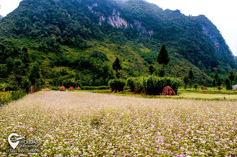 tour du lịch h&agrave; giang