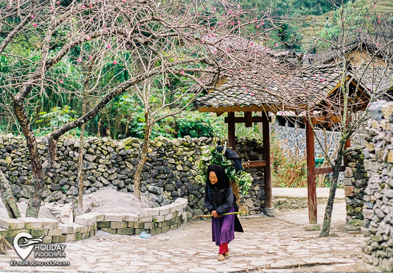 tour h&agrave; giang 3 ng&agrave;y 2 đ&ecirc;m