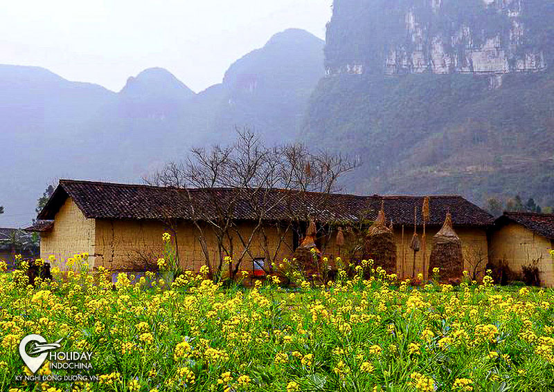 tour hà giang giá rẻ