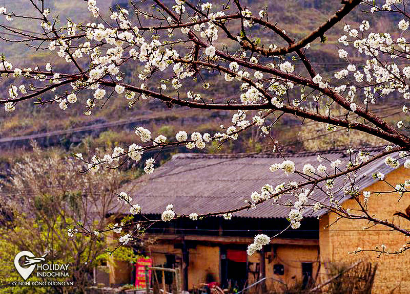 du lịch hà giang