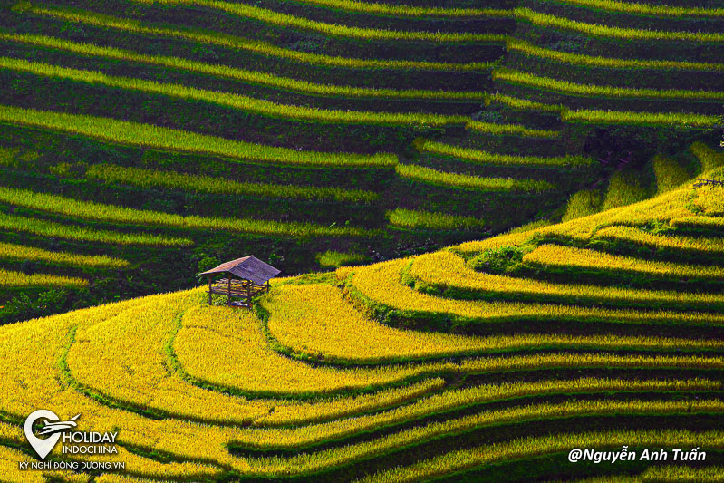 tour ho&agrave;ng su ph&igrave;