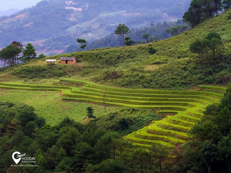 tour h&agrave; giang 3 ng&agrave;y 2 đ&ecirc;m