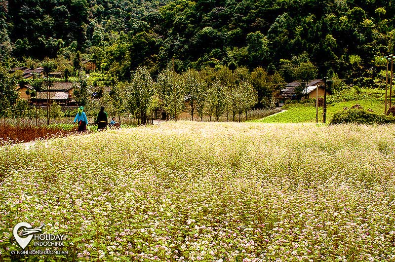 tour du lịch h&agrave; giang