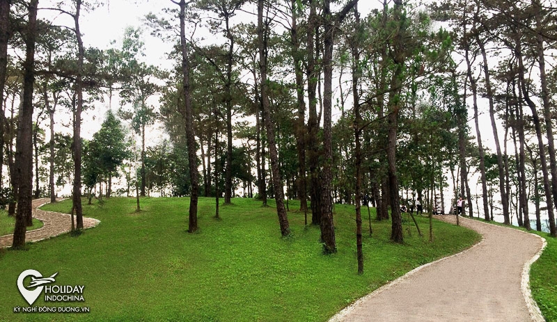 tour hạ long từ h&agrave; nội