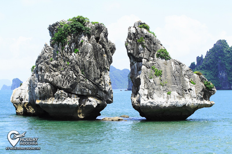 tour vịnh hạ long
