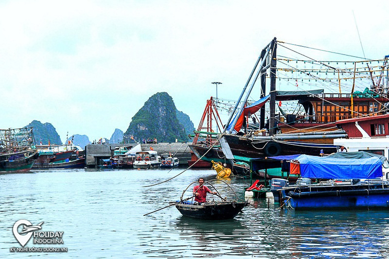 tour hạ long từ h&agrave; nội