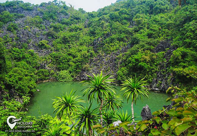 tour hạ long 3 ng&agrave;y 2 đ&ecirc;m