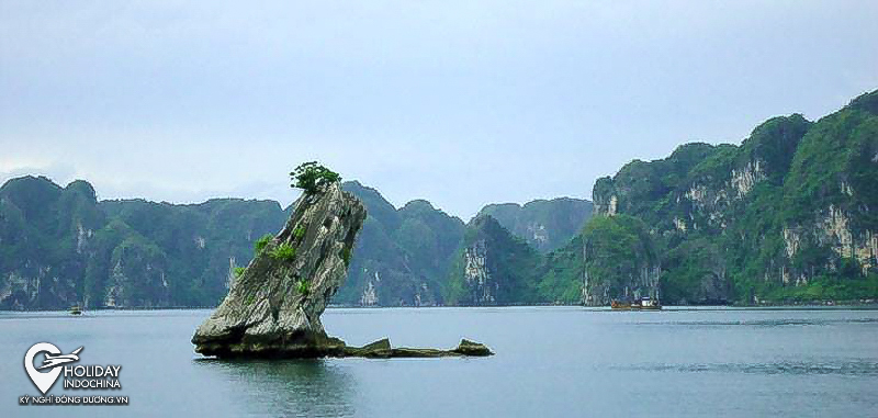 tour hạ long