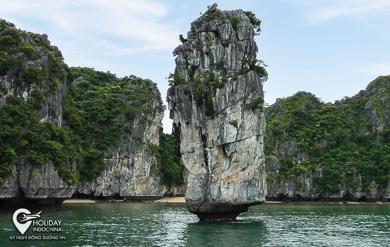 du lịch hạ long