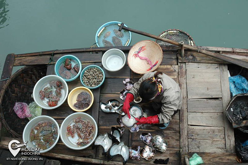 tour du thuyền hạ long gi&aacute; rẻ