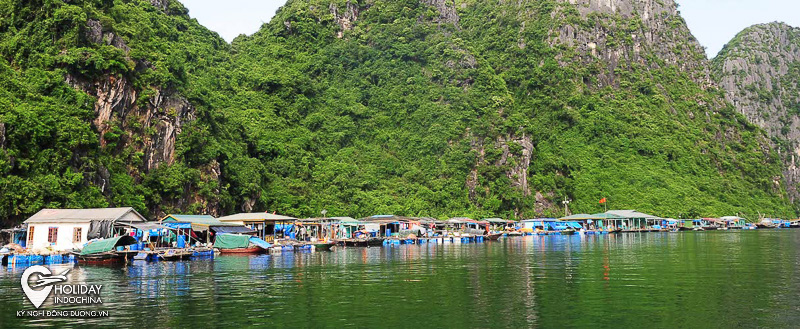 tour hạ long từ h&agrave; nội