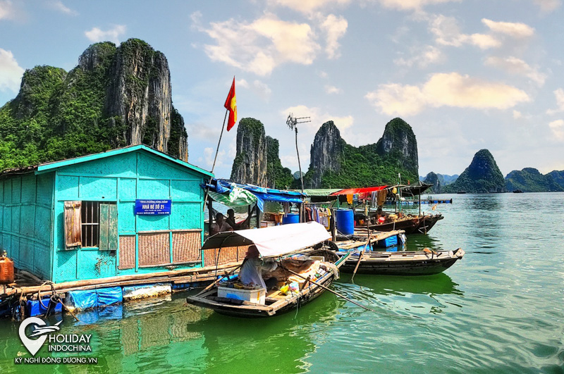 tour hạ long 1 ng&agrave;y