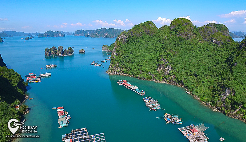 tour hạ long gi&aacute; rẻ