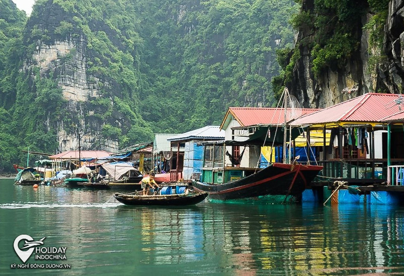 du lịch hạ long