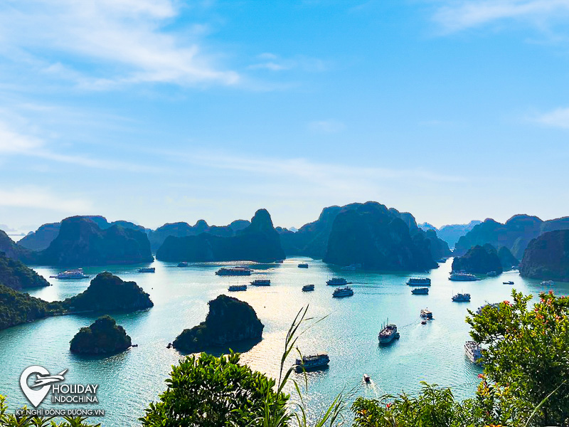 tour hạ long từ h&agrave; nội