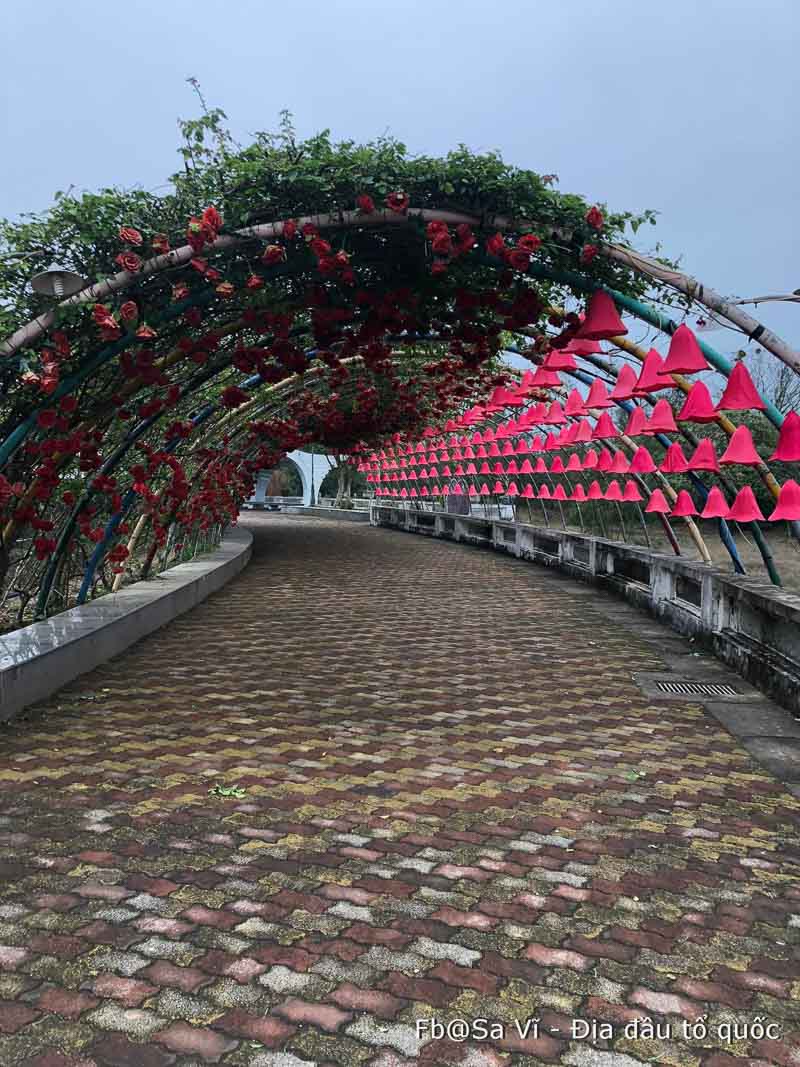 tour du lịch trà cổ