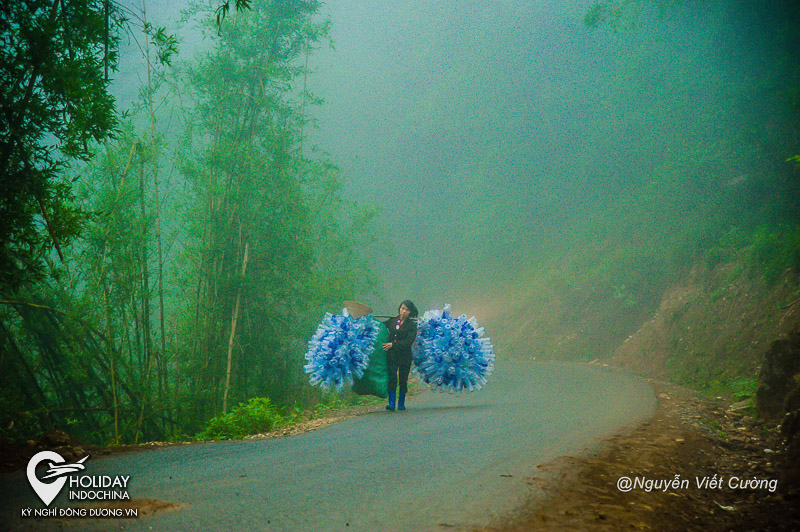 tour sapa từ h&agrave; nội