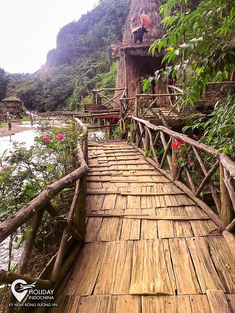 tour h&agrave; nội sapa