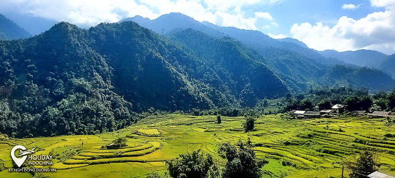 tour du lịch sapa