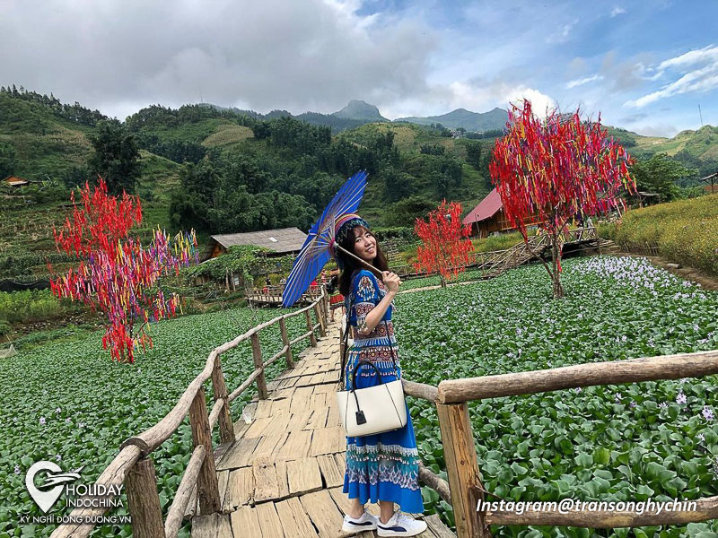 tour sapa gi&aacute; rẻ